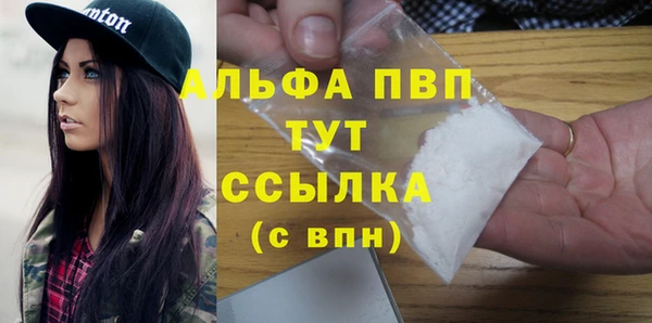 прущие грибы Баксан