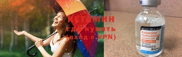 шишки Балахна