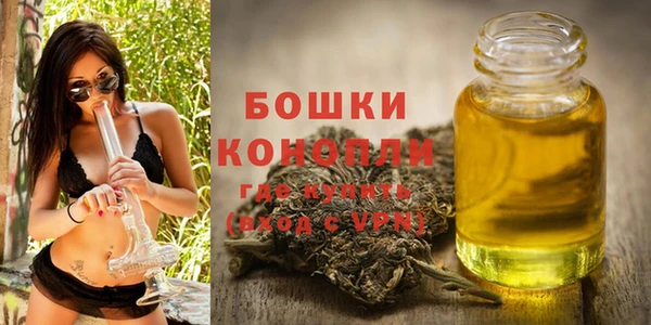 шишки Балахна