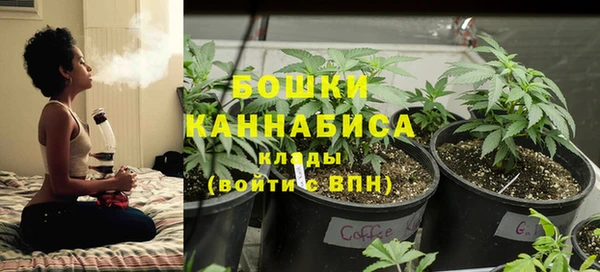 не бодяженный Аркадак