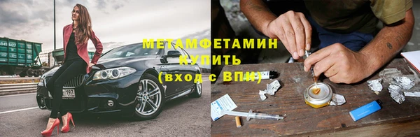 прущие грибы Баксан