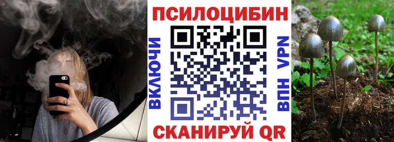 хочу   кракен ТОР  Псилоцибиновые грибы мухоморы  Усть-Лабинск 